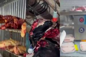 Елордада жасырын ет цехтары анықталды