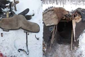 СҚО-да жылқы ұрлаған тұрғын орманда жасырынған