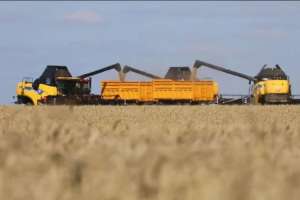 Президент Жолдауы – 2024: 2025 жылғы қаңтар-шілде айларында ауыл шаруашылығының жалпы өнім көлемі 3,7%-ға өсті