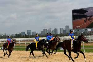 Астанада бәйге және көкпардан республикалық турнир өтеді