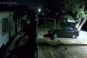 Әлеуметтік желіде жер сілкінісі кезінде Таразда түсірілген видеолар тарады (ВИДЕО)