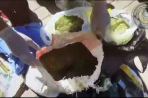 Қарағандыда зейнеткер аса ірі көлемде есірткімен ұсталды (ВИДЕО)