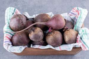 Үкіметте қант қызылшасын қабылдау және өңдеу жоспарлары айтылды