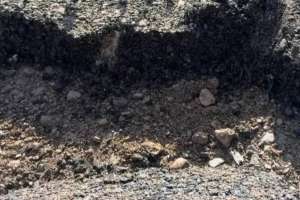 Абай облысында әкім сапасыз салынған асфальтты қопарып, жұмысты тоқтатты