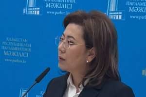 Несием кешіріледі деп, әдейі төлемей қоятындар бар — Қаржы агенттігі басшысы