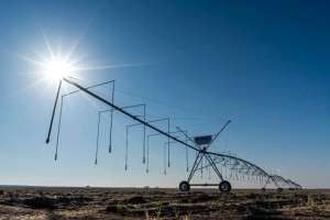 Жетісу облысында жаңбырлатып суару жүйесі қолға алынды