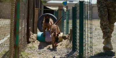 Colman Domingo and Jude Law at amfAR’s Venice Gala