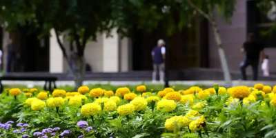 Colman Domingo and Jude Law at amfAR’s Venice Gala