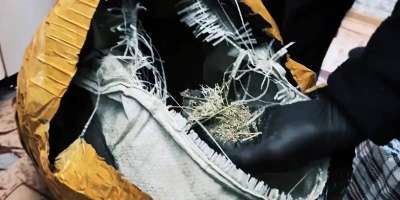 Colman Domingo and Jude Law at amfAR’s Venice Gala