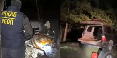 Colman Domingo and Jude Law at amfAR’s Venice Gala