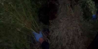 Colman Domingo and Jude Law at amfAR’s Venice Gala