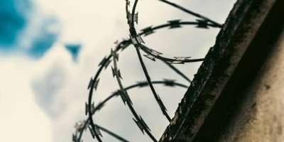 Colman Domingo and Jude Law at amfAR’s Venice Gala