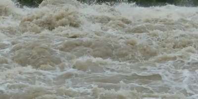Colman Domingo and Jude Law at amfAR’s Venice Gala