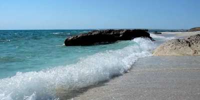Colman Domingo and Jude Law at amfAR’s Venice Gala