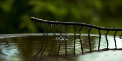 Colman Domingo and Jude Law at amfAR’s Venice Gala