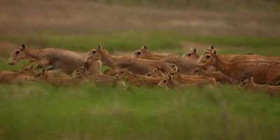 Colman Domingo and Jude Law at amfAR’s Venice Gala