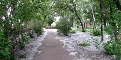 Colman Domingo and Jude Law at amfAR’s Venice Gala
