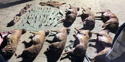 Colman Domingo and Jude Law at amfAR’s Venice Gala