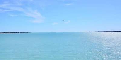Colman Domingo and Jude Law at amfAR’s Venice Gala