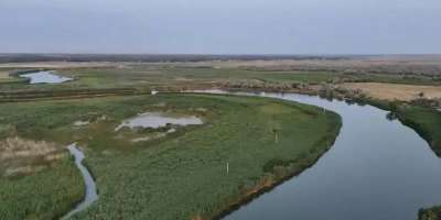 Colman Domingo and Jude Law at amfAR’s Venice Gala