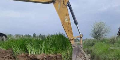 Colman Domingo and Jude Law at amfAR’s Venice Gala