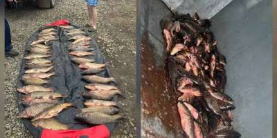 Colman Domingo and Jude Law at amfAR’s Venice Gala