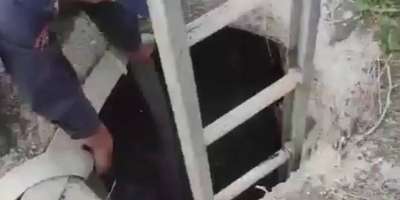 Colman Domingo and Jude Law at amfAR’s Venice Gala