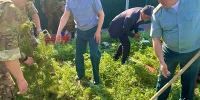 Colman Domingo and Jude Law at amfAR’s Venice Gala