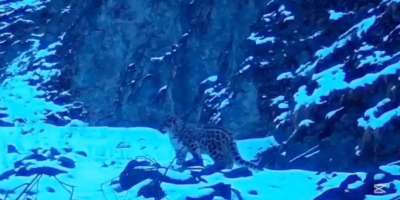 Colman Domingo and Jude Law at amfAR’s Venice Gala