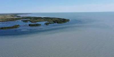 Colman Domingo and Jude Law at amfAR’s Venice Gala