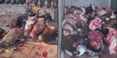 Colman Domingo and Jude Law at amfAR’s Venice Gala