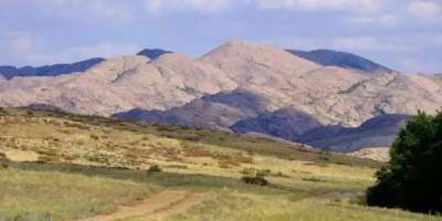 Colman Domingo and Jude Law at amfAR’s Venice Gala