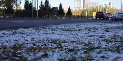 Colman Domingo and Jude Law at amfAR’s Venice Gala
