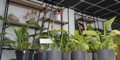 Colman Domingo and Jude Law at amfAR’s Venice Gala