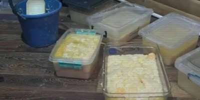 Colman Domingo and Jude Law at amfAR’s Venice Gala