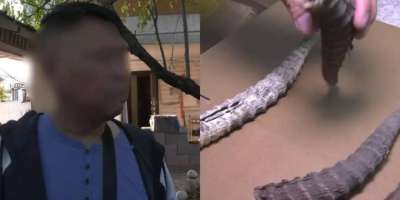 Colman Domingo and Jude Law at amfAR’s Venice Gala