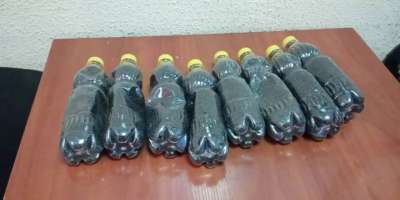 Colman Domingo and Jude Law at amfAR’s Venice Gala