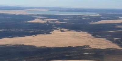Colman Domingo and Jude Law at amfAR’s Venice Gala