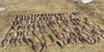 Colman Domingo and Jude Law at amfAR’s Venice Gala