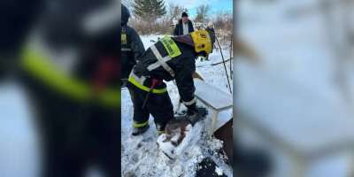 Colman Domingo and Jude Law at amfAR’s Venice Gala