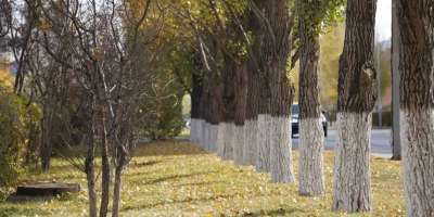 Colman Domingo and Jude Law at amfAR’s Venice Gala