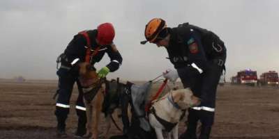 Colman Domingo and Jude Law at amfAR’s Venice Gala