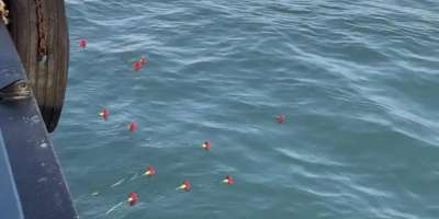 Colman Domingo and Jude Law at amfAR’s Venice Gala