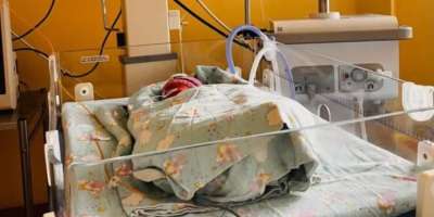 Colman Domingo and Jude Law at amfAR’s Venice Gala