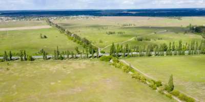 Colman Domingo and Jude Law at amfAR’s Venice Gala