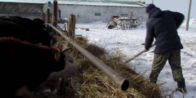 Colman Domingo and Jude Law at amfAR’s Venice Gala