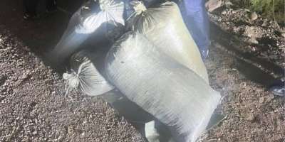 Colman Domingo and Jude Law at amfAR’s Venice Gala