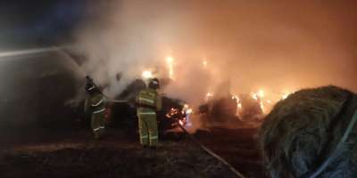 Colman Domingo and Jude Law at amfAR’s Venice Gala