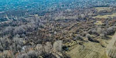 Colman Domingo and Jude Law at amfAR’s Venice Gala