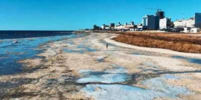 Colman Domingo and Jude Law at amfAR’s Venice Gala